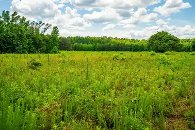 0 Rehoboth Road, Cottageville, SC 29435 - Photo 9