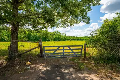 0 Rehoboth Road, Cottageville, SC 29435 - Photo 11
