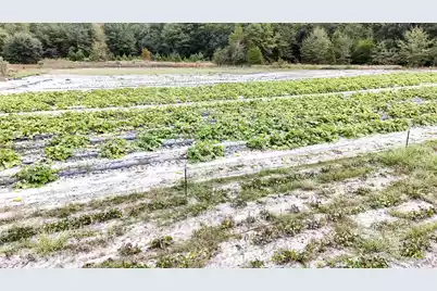 0 Chavis Road, Hilda, SC 29813 - Photo 17