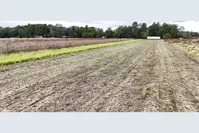0 Chavis Road, Hilda, SC 29813 - Photo 5