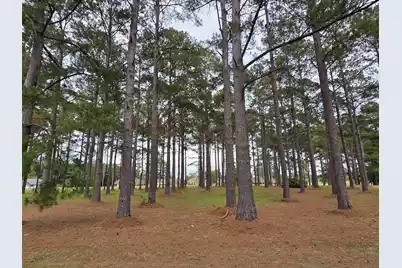 402 Pinelake Court, Manning, SC 29102 - Photo 5