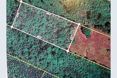 0 Youngs Road, Eutawville, SC 29048 - Photo 1