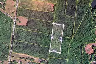 0 State Road S-38-1641, Eutawville, SC 29048 - Photo 1