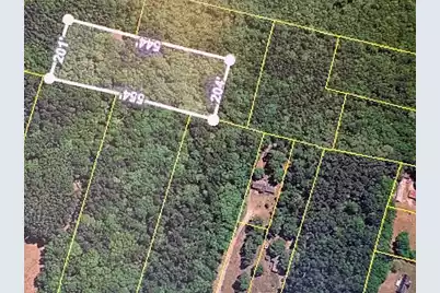 0 State Road S-38-1641, Eutawville, SC 29048 - Photo 3
