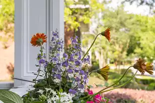 609 Daggett St, Charleston, SC 29492 - Photo 3