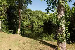 43 Woodleaf Ct, Charleston, SC 29407 - Photo 29