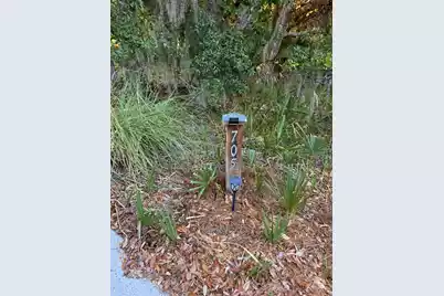 705 Sandpiper Ridge, Edisto Island, SC 29438 - Photo 53