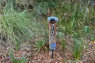 705 Sandpiper Ridge, Edisto Island, SC 29438 - Photo 53