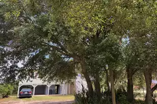 1904 Palmetto Blvd, Edisto Island, SC 29438 - Photo 1