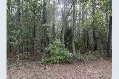 00 Sable Lane, Huger, SC 29450 - Photo 1