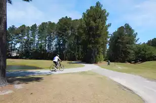 295 Shadybrook Dr Dr, Summerville, SC 29486 - Photo 23