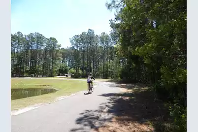 295 Shadybrook Dr. Drive, Summerville, SC 29486 - Photo 29