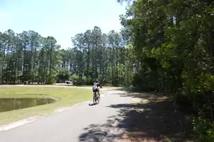 295 Shadybrook Dr Dr, Summerville, SC 29486 - Photo 29
