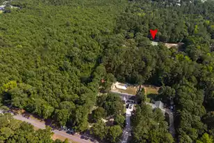 2551 Patriot Rd, Manning, SC 29102 - Photo 43