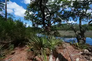 8362 Chisolm Plantation Rd, Edisto Island, SC 29438 - Photo 45