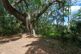 8362 Chisolm Plantation Rd, Edisto Island, SC 29438 - Photo 47