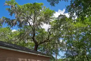 8362 Chisolm Plantation Rd, Edisto Island, SC 29438 - Photo 41