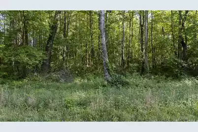 0 Botany Slopes Road, Piedmont, SC 29673 - Photo 5
