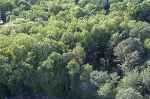 0 Botany Slopes Rd, Piedmont, SC 29673 - Photo 43