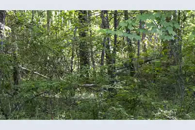 0 Botany Slopes Road, Piedmont, SC 29673 - Photo 11