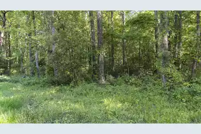 0 Botany Slopes Road, Piedmont, SC 29673 - Photo 13