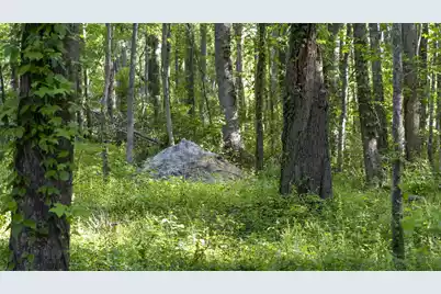 0 Botany Slopes Road, Piedmont, SC 29673 - Photo 17