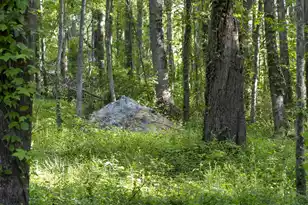 0 Botany Slopes Rd, Piedmont, SC 29673 - Photo 17