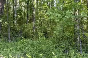0 Botany Slopes Rd, Piedmont, SC 29673 - Photo 7