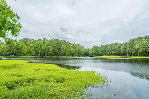 1719 Waterside Blvd, Moncks Corner, SC 29461 - Photo 61