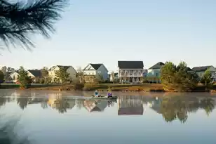 219 Mullins Bay Ct, Summerville, SC 29486 - Photo 35