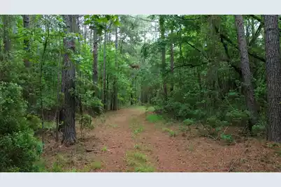 0 Pineview Farm Road, Lane, SC 29564 - Photo 7