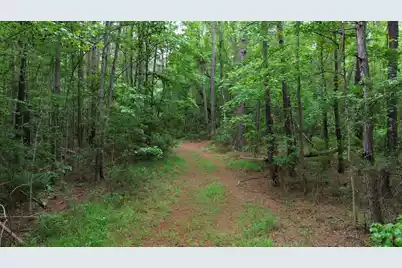0 Pineview Farm Road, Lane, SC 29564 - Photo 15