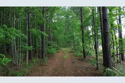 0 Pineview Farm Road, Lane, SC 29564 - Photo 17