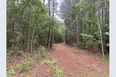 0 Pineview Farm Road, Lane, SC 29564 - Photo 5