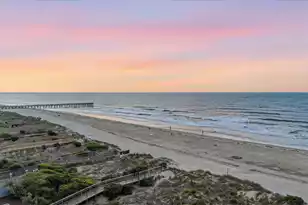1010 Ocean Blvd #301, Isle Of Palms, SC 29451 - Photo 37