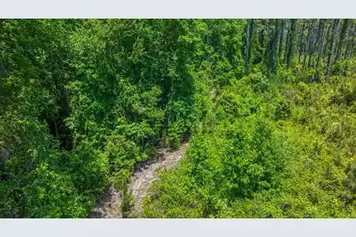 0 Cannon Bridge Road, Cordova, SC 29039 - Photo 11