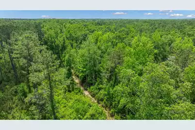 0 Cannon Bridge Road, Cordova, SC 29039 - Photo 9