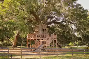 120 Westoe St, Summerville, SC 29483 - Photo 43