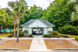 310 Heron Watch Ct, Charleston, SC 29414 - Photo 99