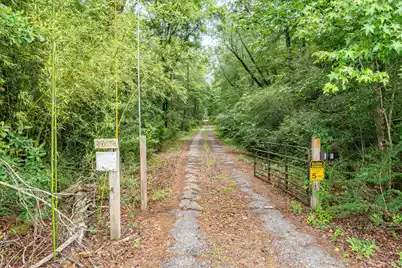 229 Bay Blossom Lane, Cross, SC 29472 - Photo 5