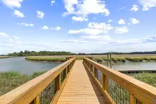 116 Summers Creek Ct, Mount Pleasant, SC 29464 - Photo 65