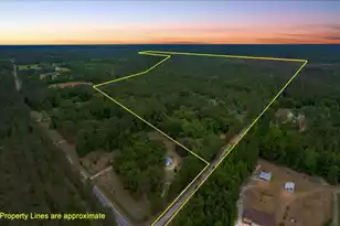 00 Rice Rd, Ridgeville, SC 29472 - Photo 1