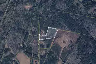 186 Lone Ln Dr, Cope, SC 29038 - Photo 7