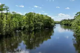 7089&7095 Parkers Ferry Rd, Adams Run, SC 29426 - Photo 1