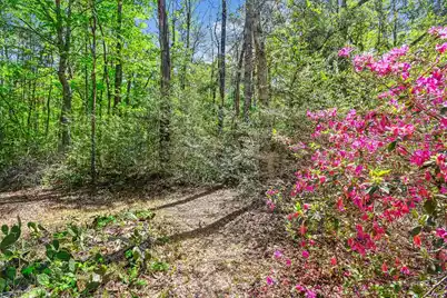 7089&7095 Parkers Ferry Road, Adams Run, SC 29426 - Photo 81