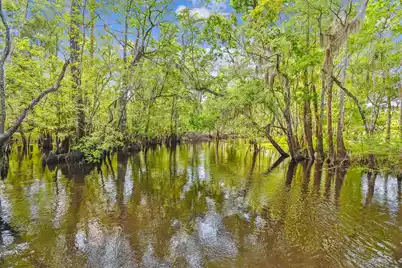 7089&7095 Parkers Ferry Road, Adams Run, SC 29426 - Photo 85