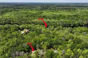 7089&7095 Parkers Ferry Rd, Adams Run, SC 29426 - Photo 73