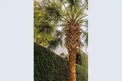 17 Tradd Street, Charleston, SC 29401 - Photo 19