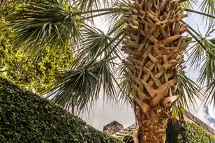 17 Tradd St, Charleston, SC 29401 - Photo 19