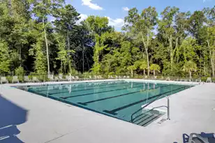 323 Saddlewood Dr, Charleston, SC 29414 - Photo 41